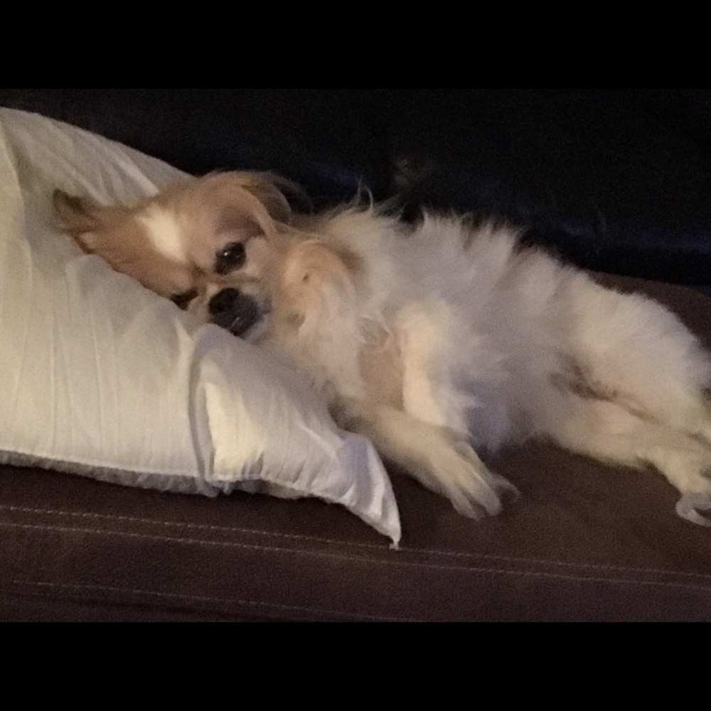 Meet your Posher, Debbie